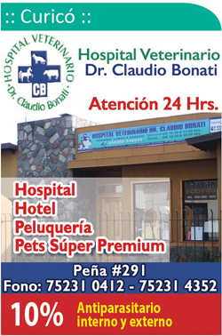 Hospital Veterinario Dr. Claudio