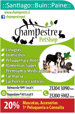 Champestre Pet Shop