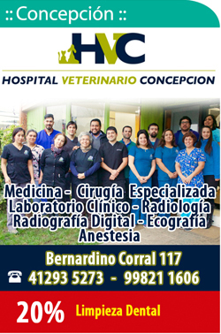 Hospital Veterinario Concepción