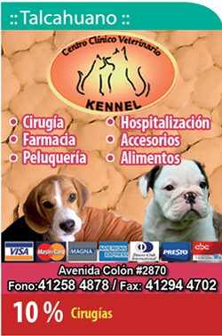 Centro Clinico Veterinario Kennel
