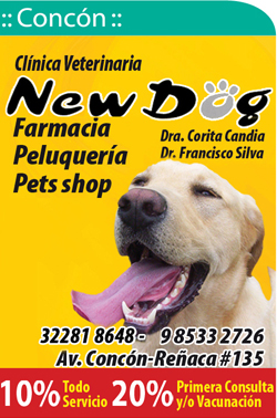 Clinica Veterinaria New Dog