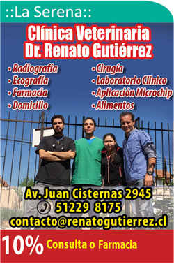 Clinica Veterinaria Dr. Renato Gutierrez