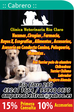 Clinica Veterinaria Rio Claro
