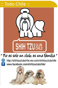 Shih Tzu Club Chile