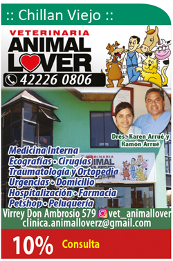 Veterinaria Animal Lover Chillan