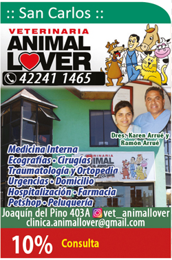 Veterinaria Animal Lover