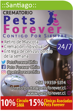 Pets Forever Productos