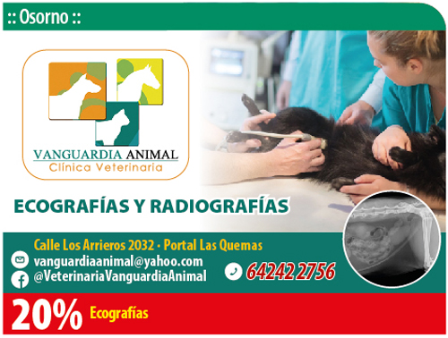 Centro medico veterinario Vanguardia Animal