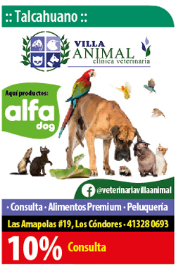 Clínica Veterinaria Villa Animal