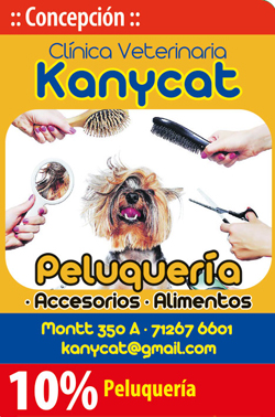 Kanycat