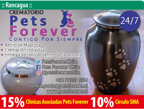 Pets Forever Rancagua