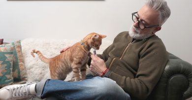 Sergi Arola, Top Chef: Las Revelación del Gato