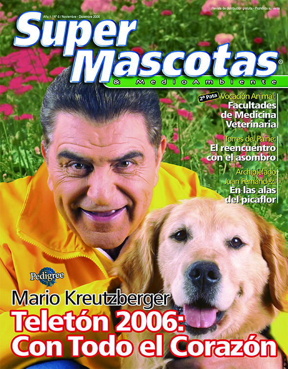 Portada 6